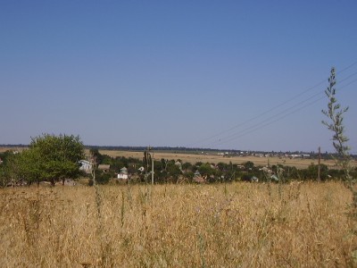 05.JPG