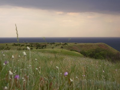 Белая гора 7.JPG
