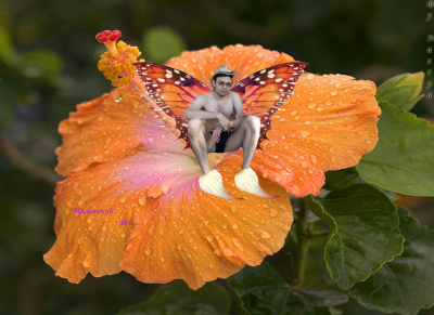 Маленький фей!.png