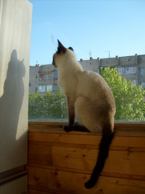S6300114.JPG